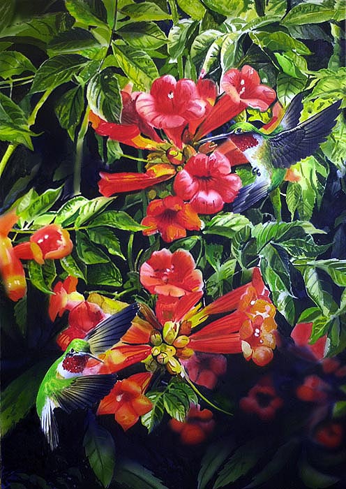 Hummingbirds1